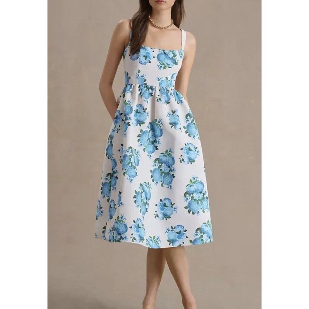 NWT Anthropologie Sachin & Babi Blaine Chinoiserie Taffeta Midi 0845